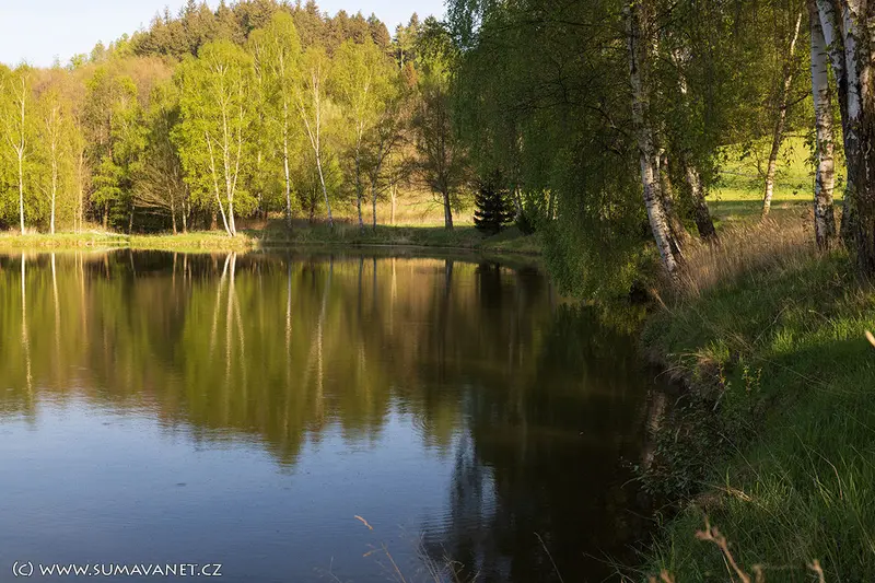 Přírodní koupaliště Chlistov