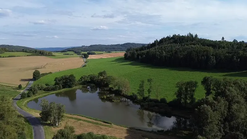 Rybník Malý u Mlázov